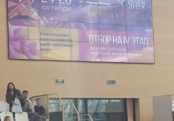 Новогорские звездочки